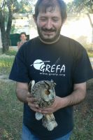Liberacin de buho chico. Juan Pablo Díaz, responsable del area de informática